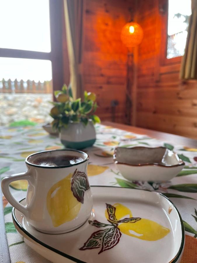 Andizalti Doga Evleri Limon Ev Datca Villa ภายนอก รูปภาพ