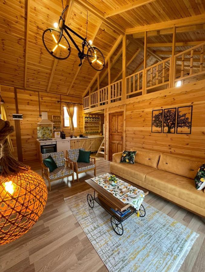 Andizalti Doga Evleri Limon Ev Datca Villa ภายนอก รูปภาพ